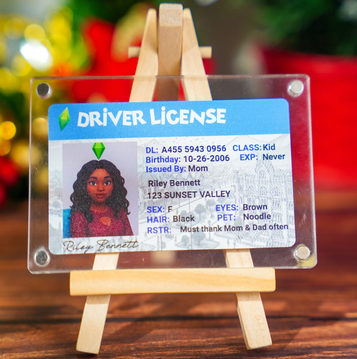 Custom The Sims-Inspired Driver License - Metal Card