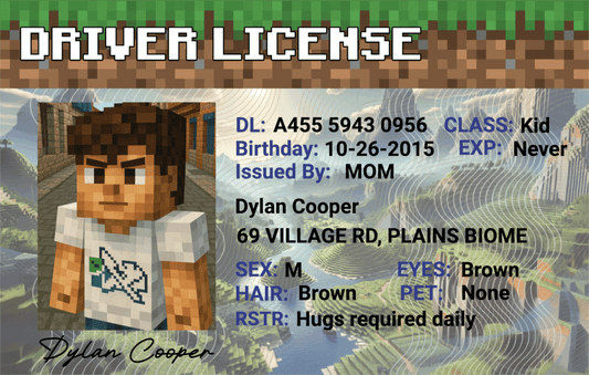 Custom Minecraft-Inspired Driver License - Metal Card