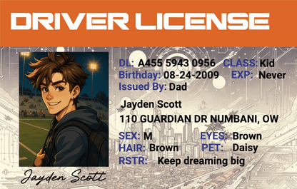 Custom Overwatch-Inspired Driver License - Metal Card
