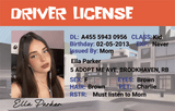 Custom Roblox-Inspired Driver License - Metal Card