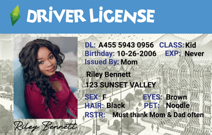 Custom The Sims-Inspired Driver License - Metal Card